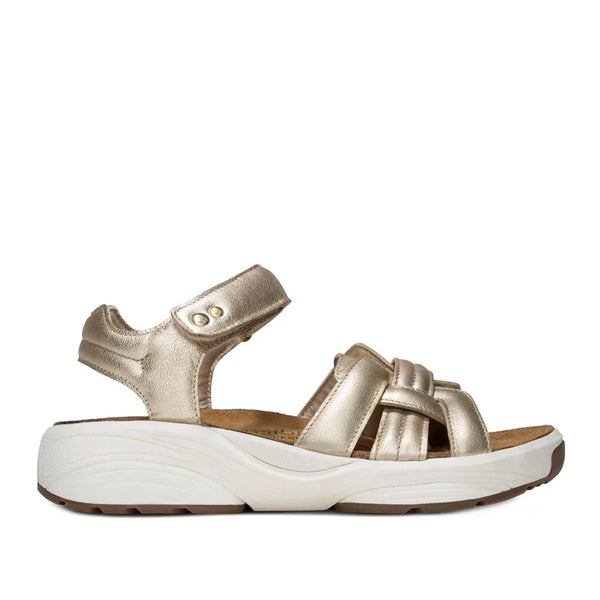 Xsensible Sandalen 30804.5.911 H Goud Xsensible Sandalen 30804.5.911 H Goud