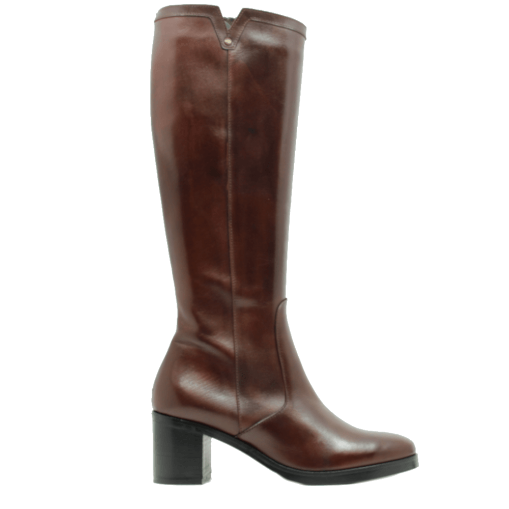 Progetto laarsjes hotsell