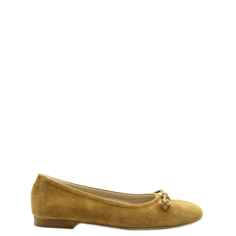 Antonio Paolo Instappers Elias Cognac