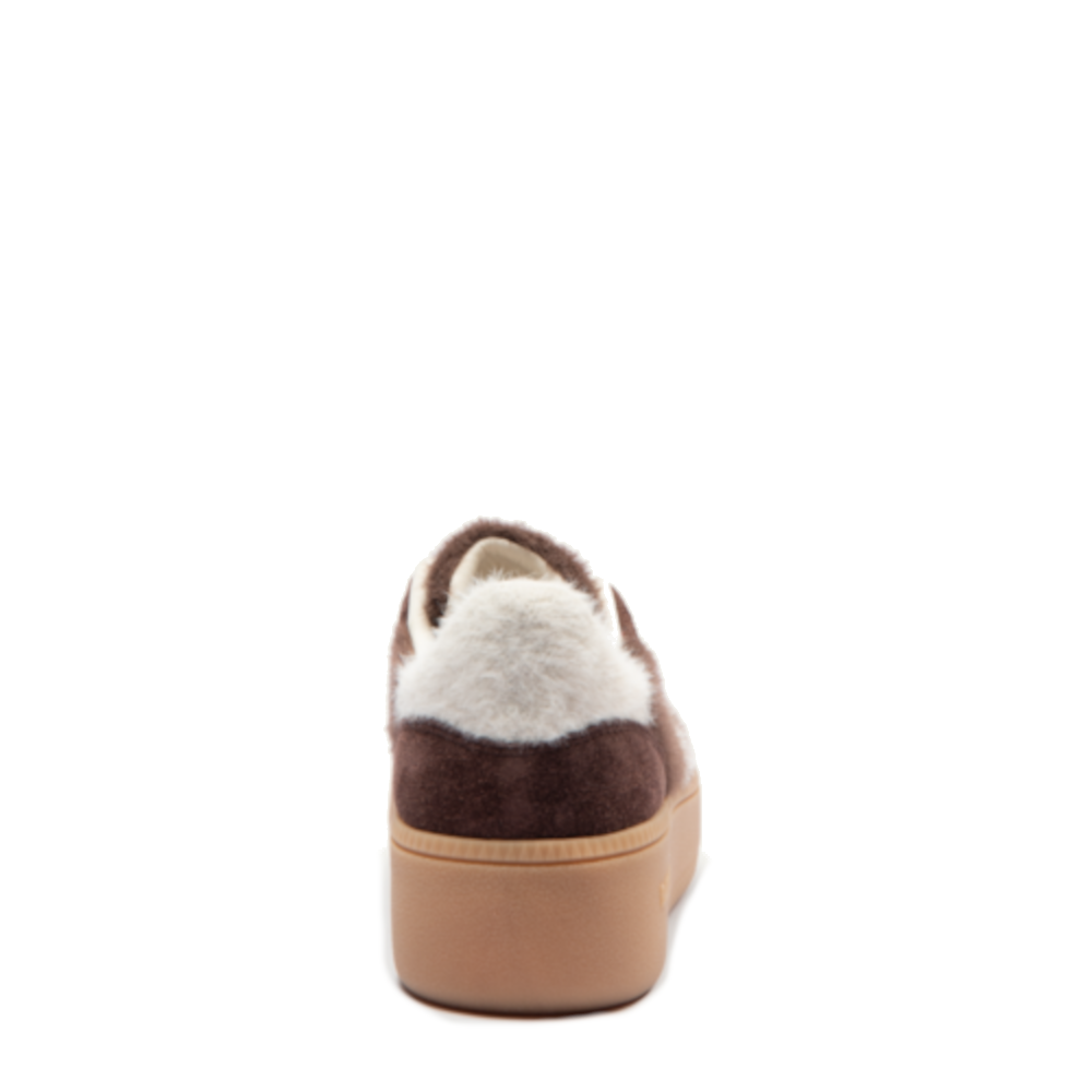 Back70 108055-000005 Bruin by Back70