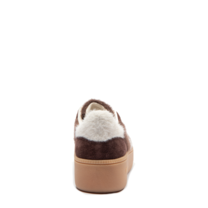 Back70 108055-000005 Bruin by Back70
