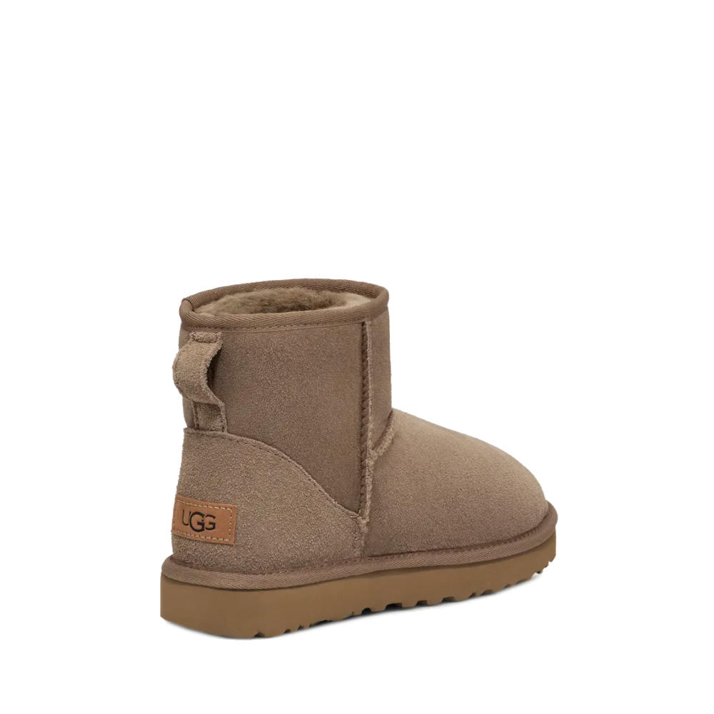 Ugg Boots 1016222 Antilope