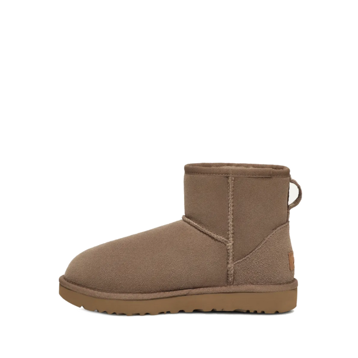 Ugg Boots 1016222 Antilope