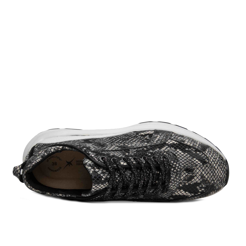 Xsensible Veterschoenen 33013.4.808 G Grijs by Xsensible