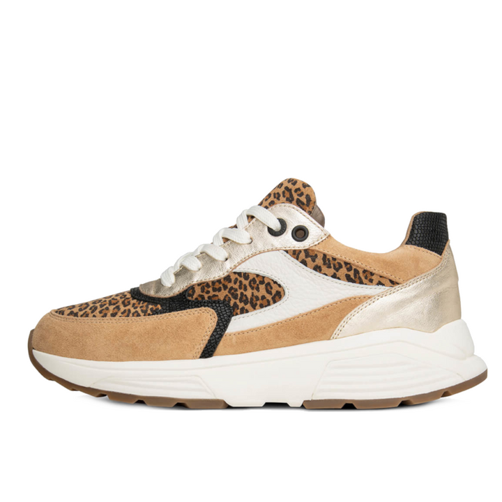 Xsensible veterschoenen 33002.4.304 G Camel