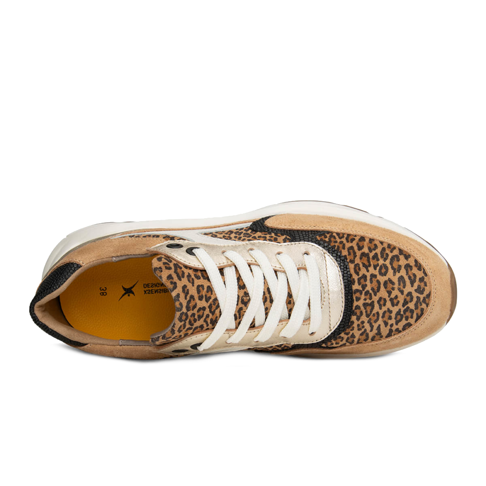 Xsensible veterschoenen 33002.4.304 G Camel