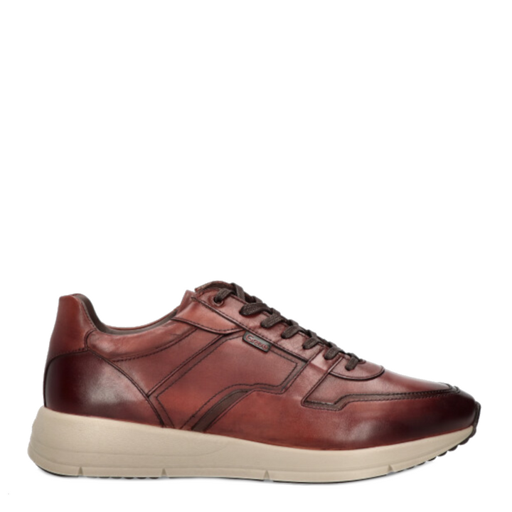 Greve Veterschoenen 3280.09 K Cognac