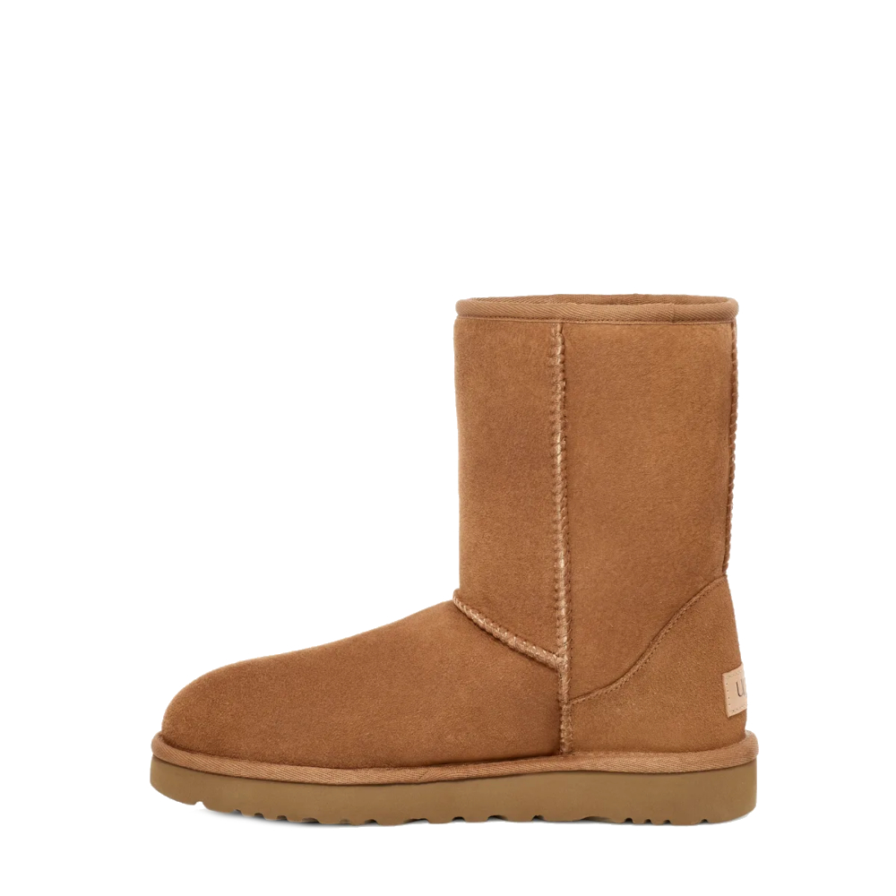 Ugg Boots 1016223 Cognac