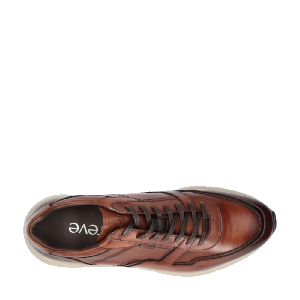 Greve Veterschoenen 3280.09 K Cognac