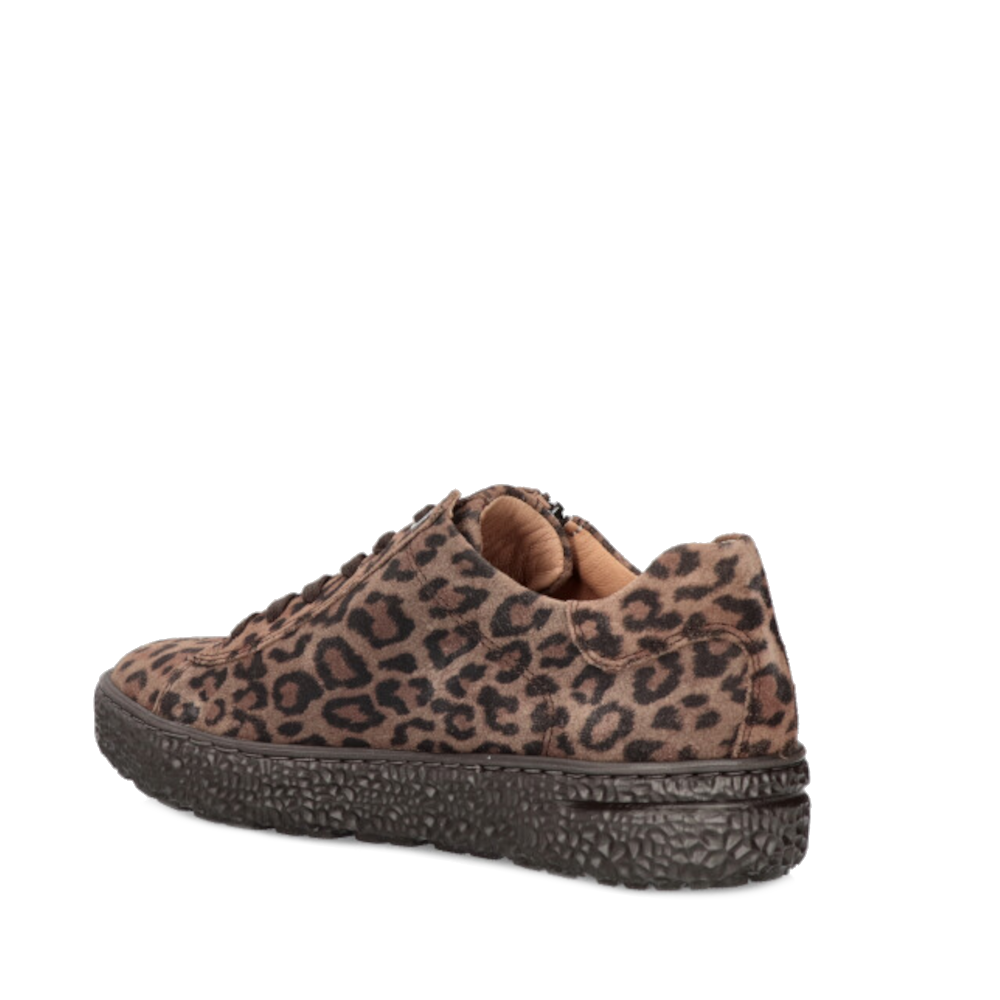 Hartjes Veterschoenen 162.1401/40 52.00 Bruin