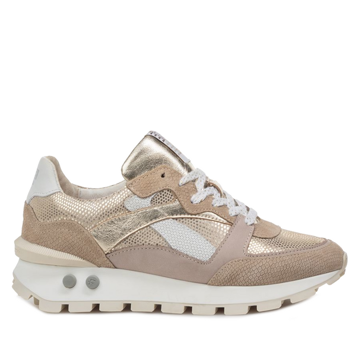 Floris van Bommel veterschoenen SFW-10157-34-02 Taupe