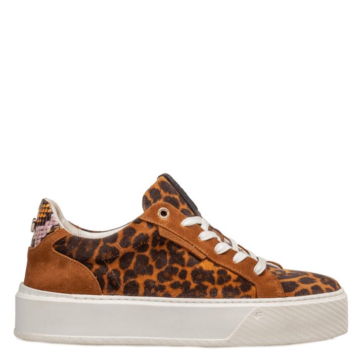 floris van bommel Veterschoenen SFW-10106-23-01 Cognac - Donelli