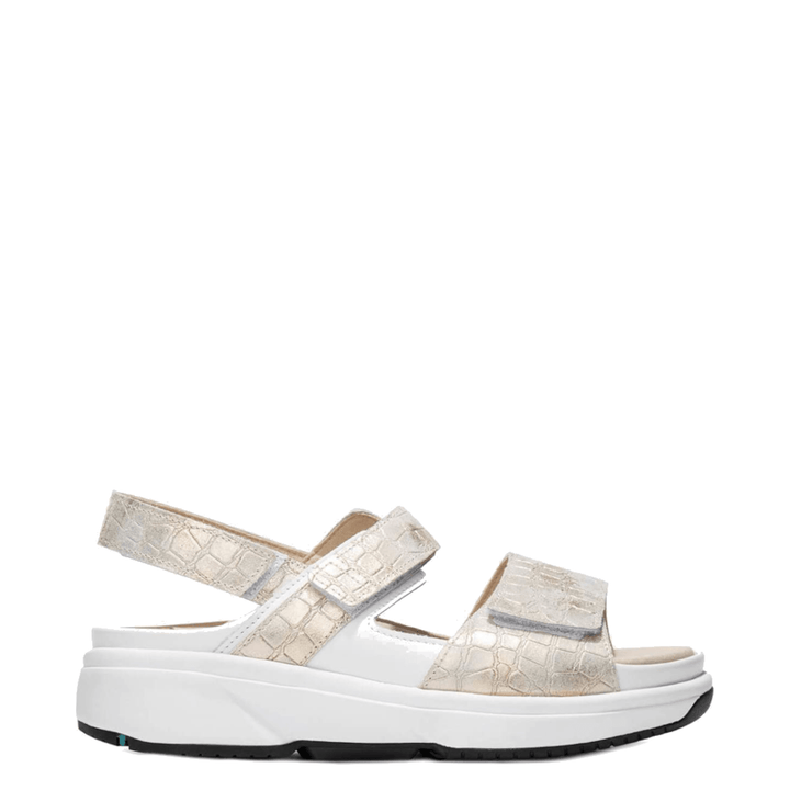 Xsensible Sandalen 30700.5.166 Champagne - Donelli