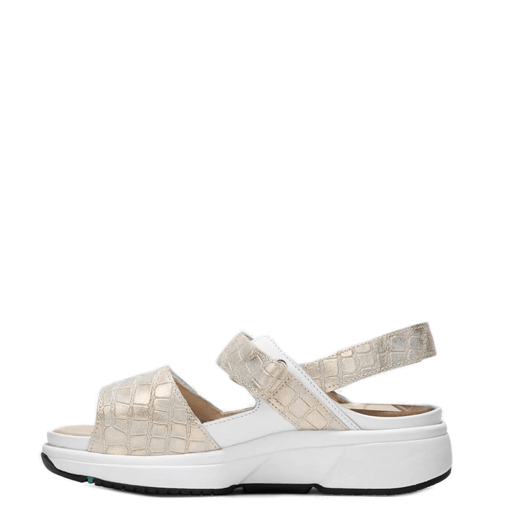 Xsensible Sandalen 30700.5.166 Champagne - Donelli